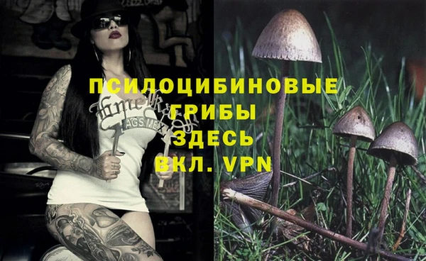 a pvp Алексеевка