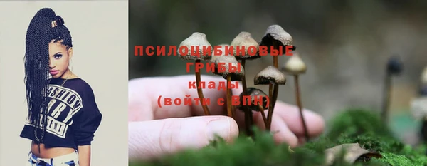 таблы Алзамай